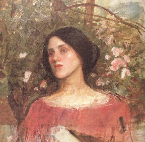 John William Waterhouse The Rose Bower (mk41) oil painting picture